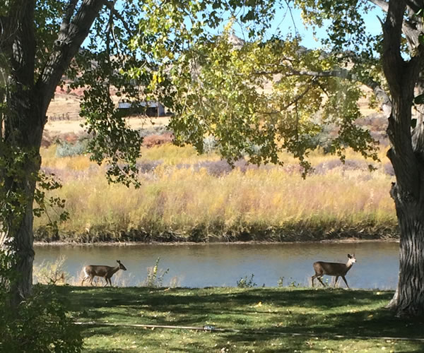 Red Butte Ranch 5