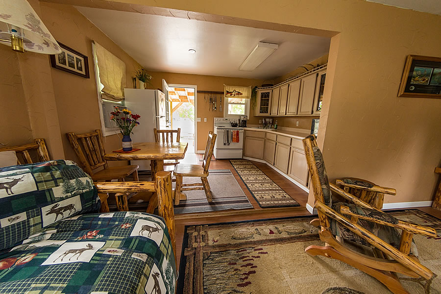 Living Room / Kitchen